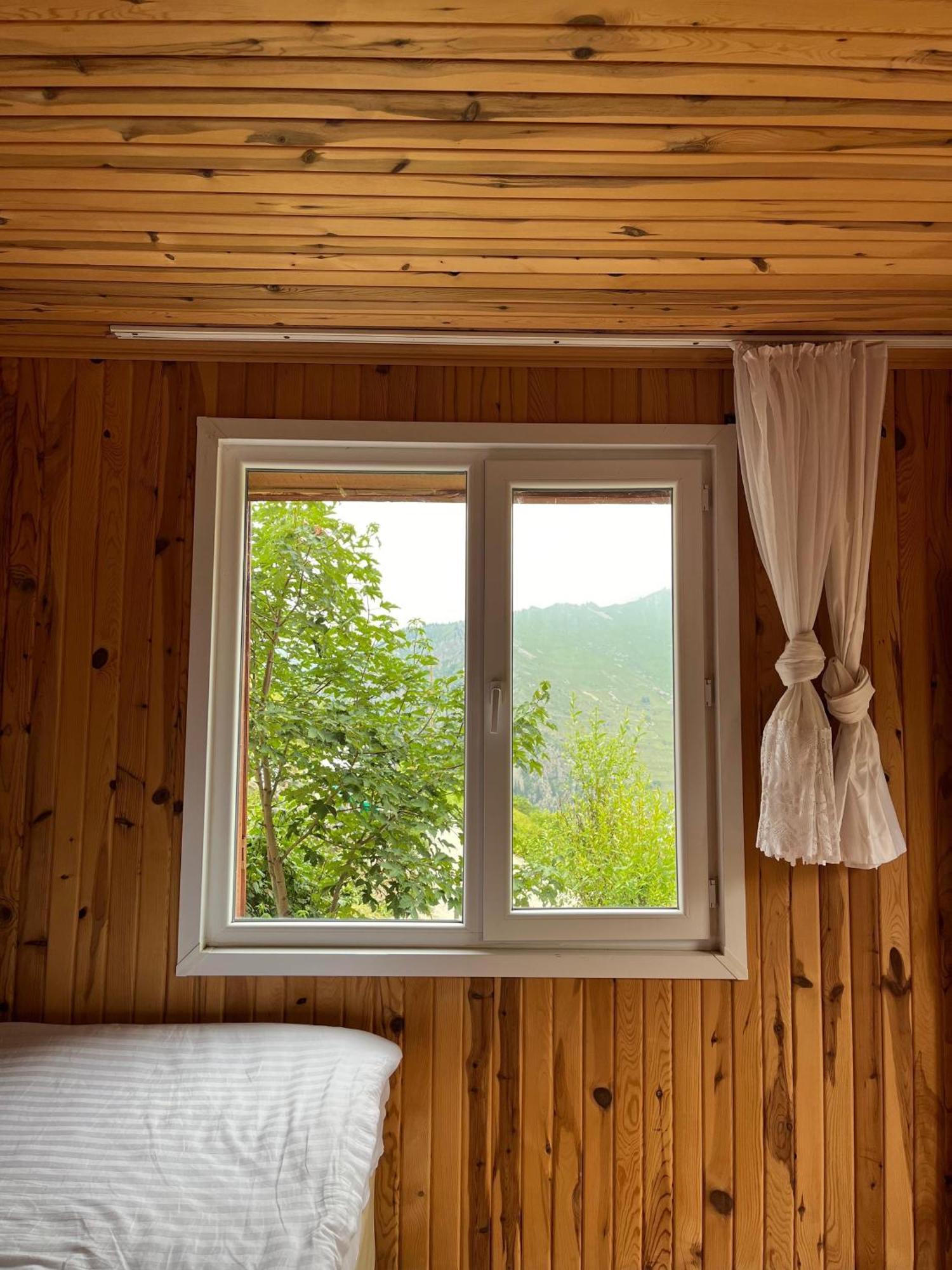 Homestay Doruk